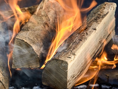 Logs on a fire