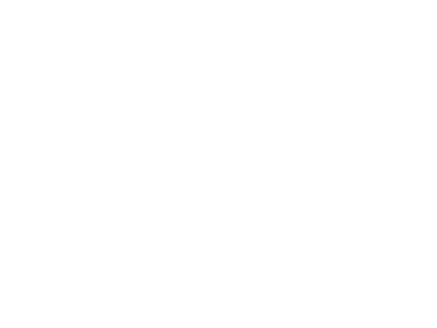 Lynx Fuels Logo